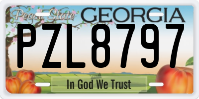 GA license plate PZL8797