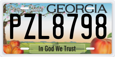 GA license plate PZL8798