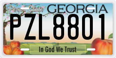 GA license plate PZL8801