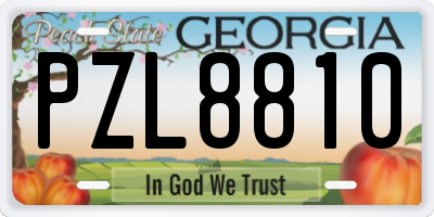 GA license plate PZL8810