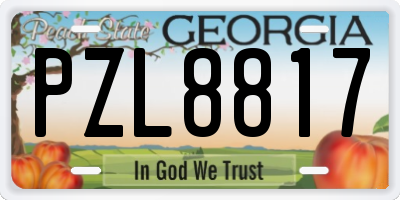 GA license plate PZL8817