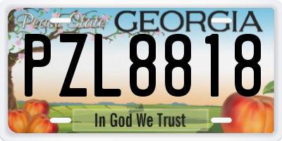 GA license plate PZL8818