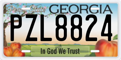 GA license plate PZL8824