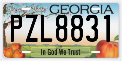 GA license plate PZL8831