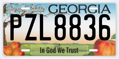 GA license plate PZL8836