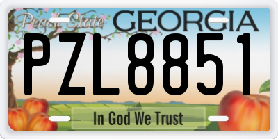 GA license plate PZL8851