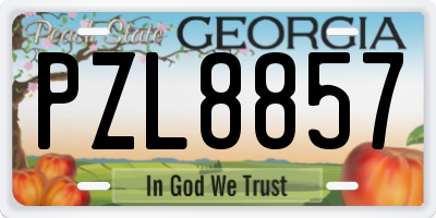 GA license plate PZL8857