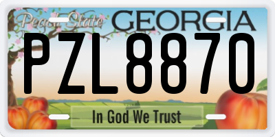 GA license plate PZL8870