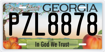 GA license plate PZL8878
