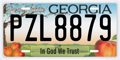 GA license plate PZL8879