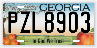 GA license plate PZL8903