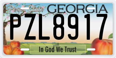 GA license plate PZL8917