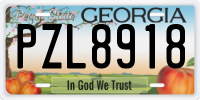 GA license plate PZL8918