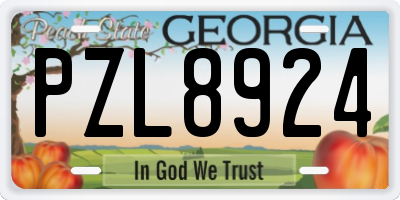 GA license plate PZL8924