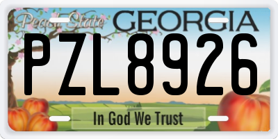 GA license plate PZL8926