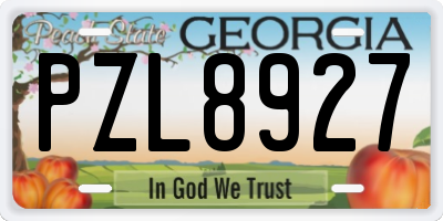 GA license plate PZL8927