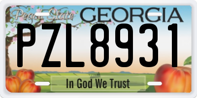 GA license plate PZL8931