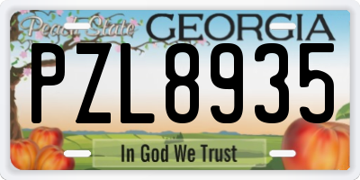 GA license plate PZL8935