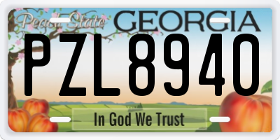 GA license plate PZL8940