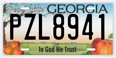 GA license plate PZL8941