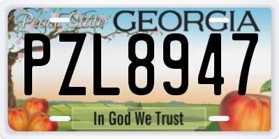 GA license plate PZL8947