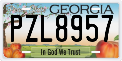 GA license plate PZL8957