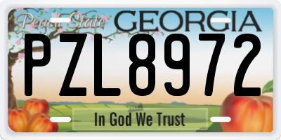 GA license plate PZL8972