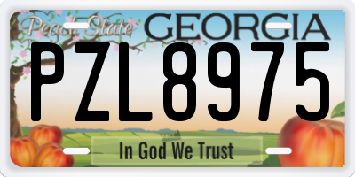 GA license plate PZL8975