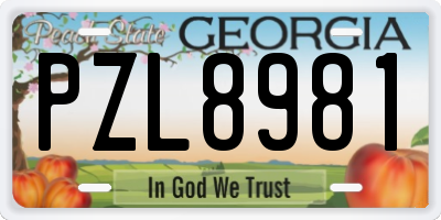 GA license plate PZL8981