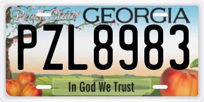GA license plate PZL8983