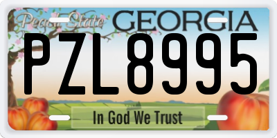 GA license plate PZL8995