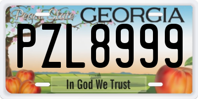 GA license plate PZL8999