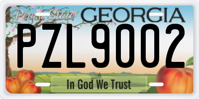 GA license plate PZL9002