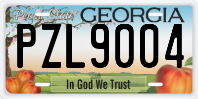 GA license plate PZL9004