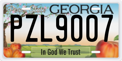 GA license plate PZL9007