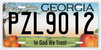GA license plate PZL9012