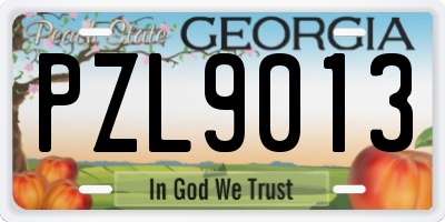 GA license plate PZL9013