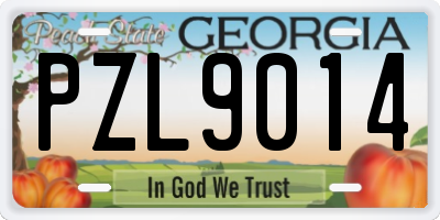 GA license plate PZL9014