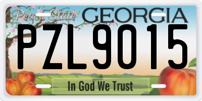 GA license plate PZL9015