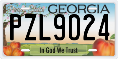 GA license plate PZL9024