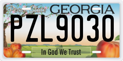 GA license plate PZL9030