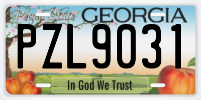 GA license plate PZL9031