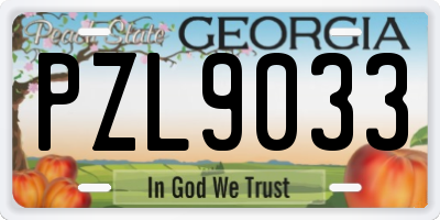GA license plate PZL9033