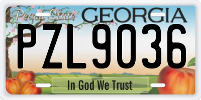 GA license plate PZL9036