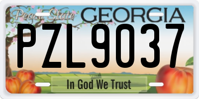 GA license plate PZL9037