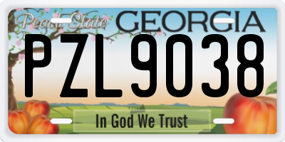 GA license plate PZL9038