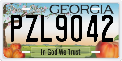 GA license plate PZL9042