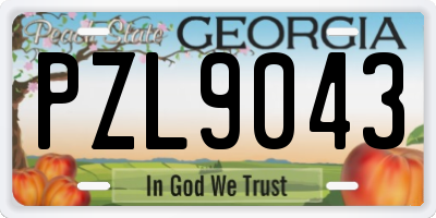 GA license plate PZL9043