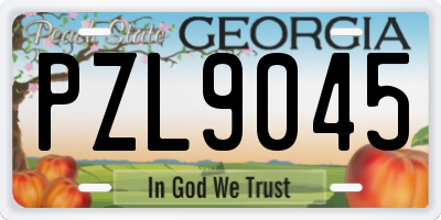 GA license plate PZL9045