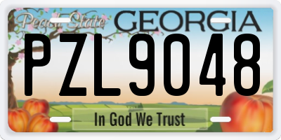 GA license plate PZL9048